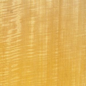 wooden veneer 1