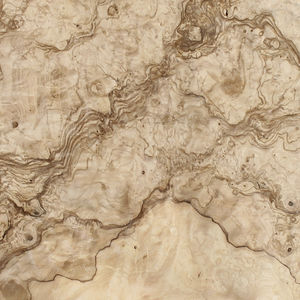 wooden veneer 1