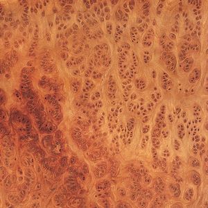 wooden veneer 1