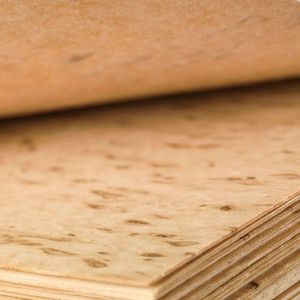wooden veneer 1