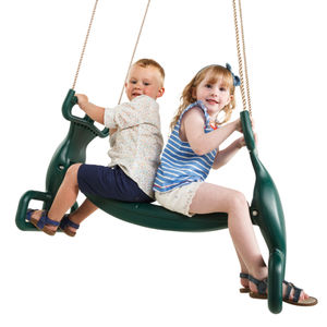 steel swing