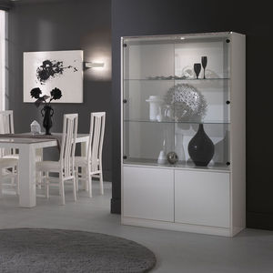 contemporary display case