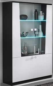 contemporary display case