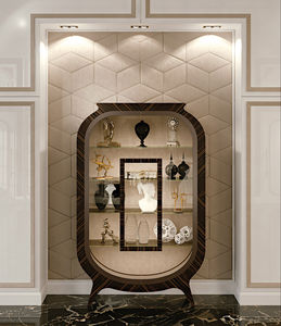 contemporary display cabinet