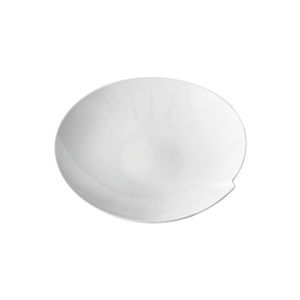 soup plate