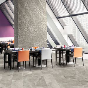 indoor tile / wall / floor / porcelain stoneware