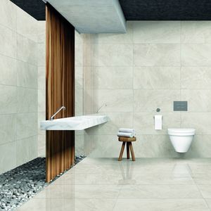 indoor tile / wall / floor / porcelain stoneware