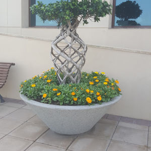 concrete planter