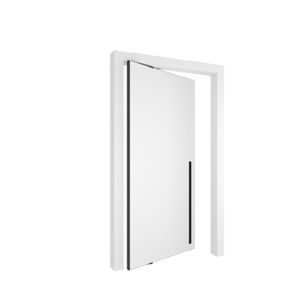 interior door 1