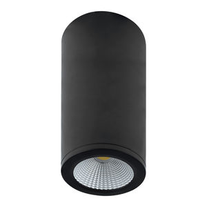 surface mounted downlight