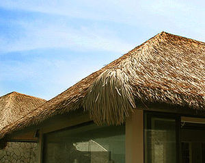 Thatch Roof Repairs - PLC King