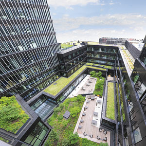 extensive green roof system