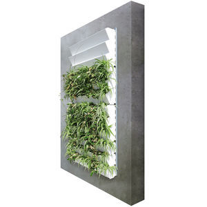 preserved green wall