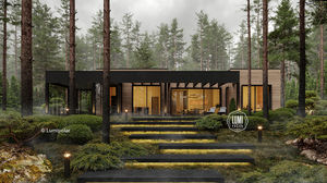 standard model house