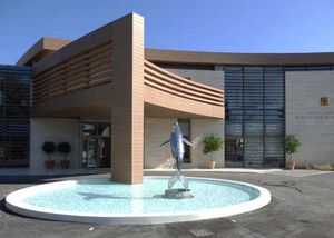 outdoor swimming pool