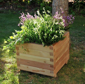 larch planter