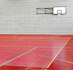 PVC flooring / linoleum / polyurethane / for sports facilities