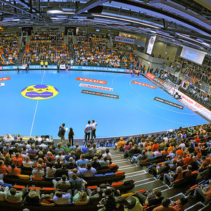 wooden sports flooring / polyurethane foam / indoor / for multipurpose gyms