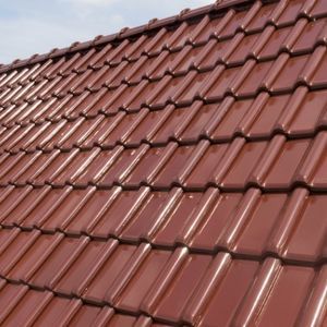 Portuguese roof tile