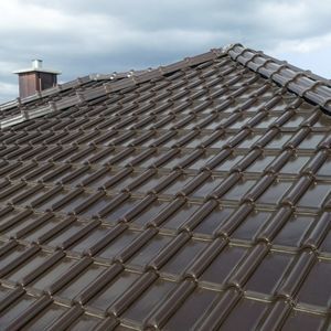 Portuguese roof tile