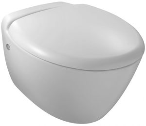 wall-hung toilet 1