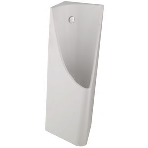 wall-mounted urinal