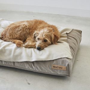 polyester blanket