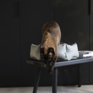 fabric cat bed