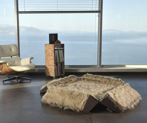 dog bed