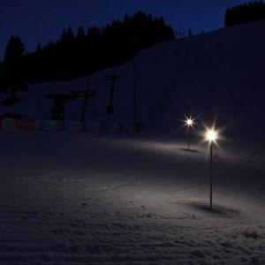 garden bollard light