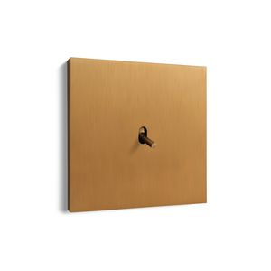 light switch