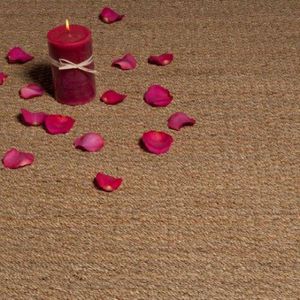 woven rug / contemporary / plain / vegetal fiber