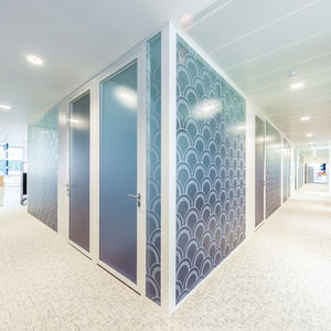 removable partition 1