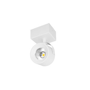 ceiling-mounted spotlight 1