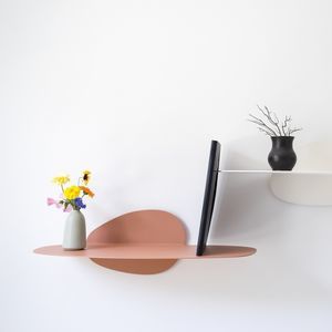 wall-mounted shelves