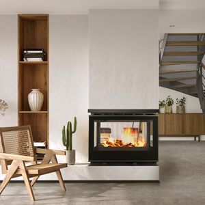central fireplace insert
