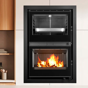 wood-burning fireplace insert