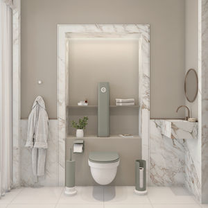 wall-hung toilet