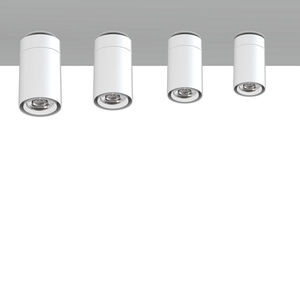 ceiling-mounted spotlight