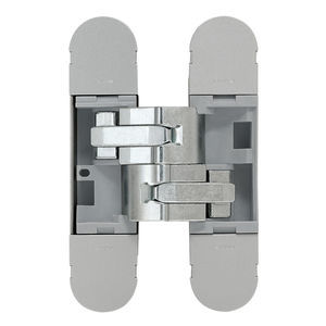 door hinge 1
