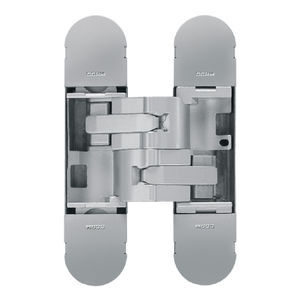 door hinge 1