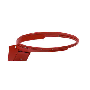 wall-mounted basketball hoop
