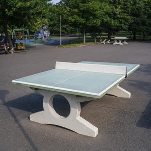 contemporary ping pong table