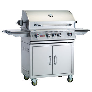gas barbecue
