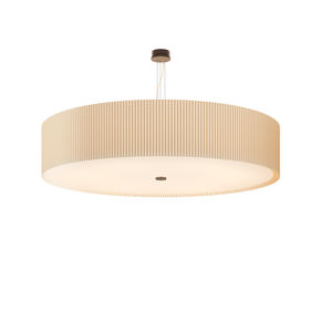 hanging light fixture