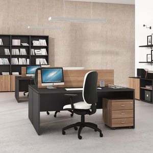 workstation desk 1