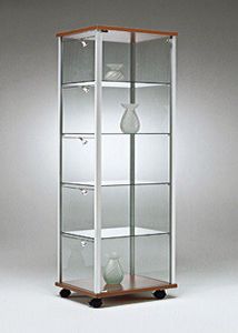 contemporary display case