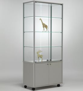 contemporary display case