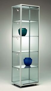 contemporary display case