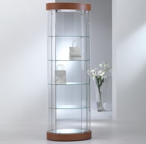 contemporary display case